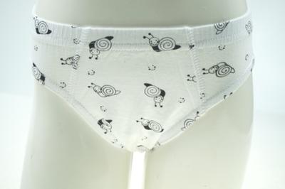 Little Boy's Combed White Cotton with Allover Water print Briefs