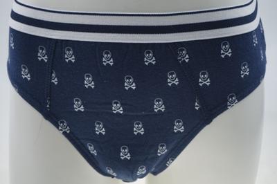 Boy's Combed Cotton with Allover Rubber print Briefs