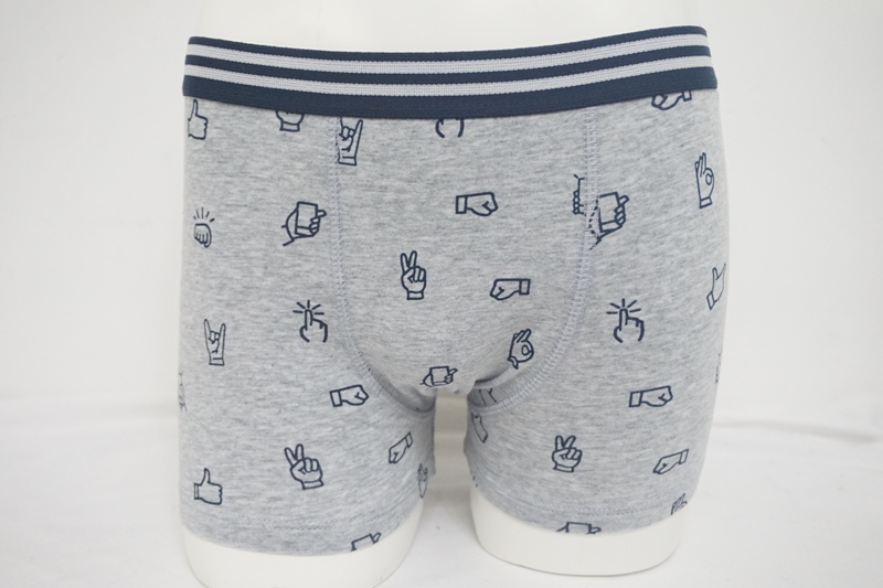 Boy's Combed Cotton Elastine with Alover Water  print Boxers