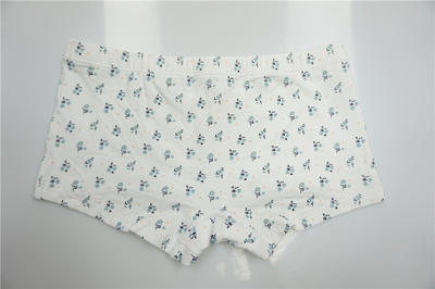 Girl's Combed Cotton Elastane with Floret Print Boxers