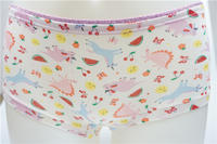 Beautiful Girl's Combed Cotton Elastane with Allover Print Boxers