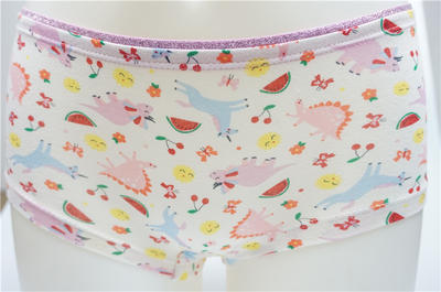 Beautiful Girl's Combed Cotton Elastane with Allover Print Boxers