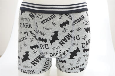 Good Quality Boy's Combed Cotton Elastane with Allover Print Boxers