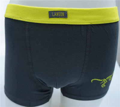 Boy's Combed Black Cotton Elastane with Rubber Print Boxers