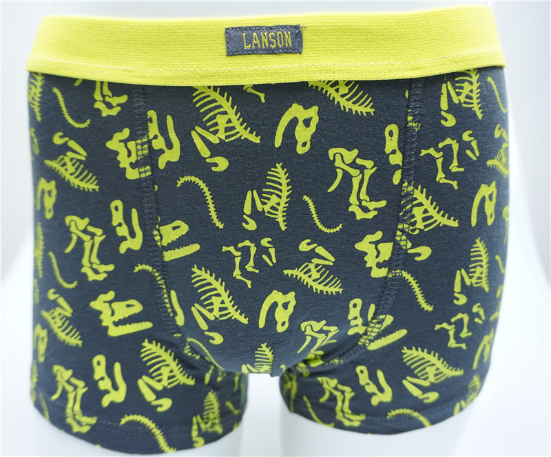 Boy's Combed Cotton Elastane with Allover Print Boxers