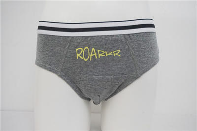 Cool Boy's Combed Cotton Elastane with Rubber Print Briefs