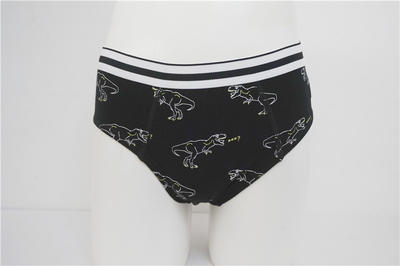 Beautiful Boy's Combed Cotton with Allover Print Briefs