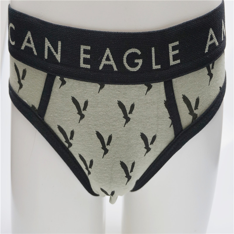High Quality Boy Combed Cotton Elastane with Allover Print Briefs