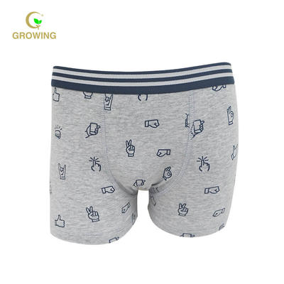 Boy's  Combed Cotton Elastine with Allover print  Boxers
