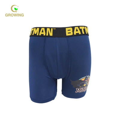 Boy's Polyester Elastine with Sublimation print Boxers